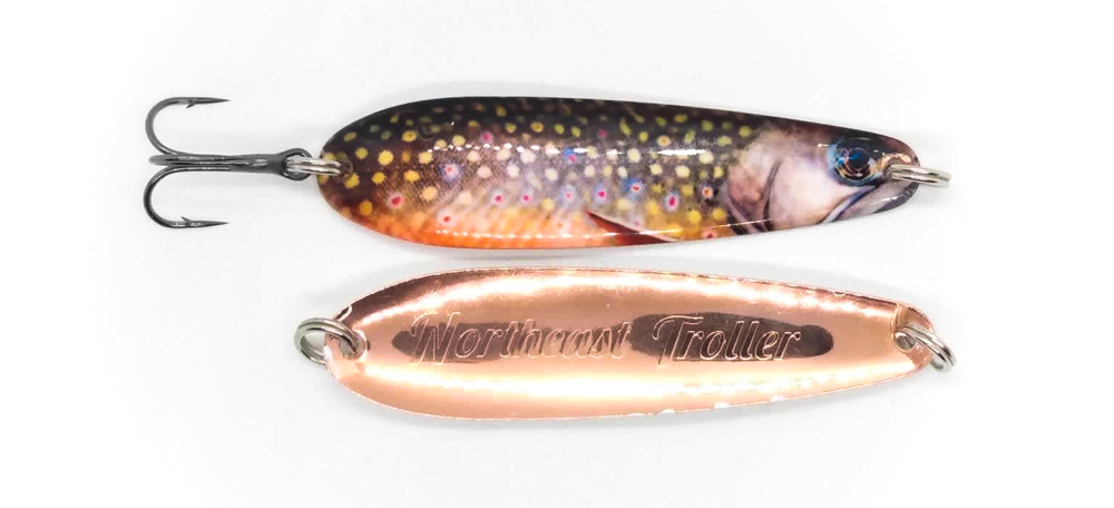 Brook Trout Image #100 Size